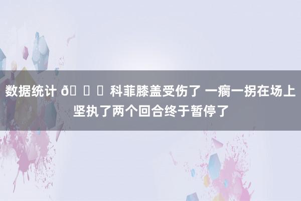 数据统计 😐科菲膝盖受伤了 一瘸一拐在场上坚执了两个回合终于暂停了