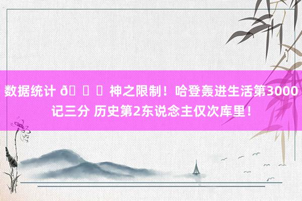 数据统计 😀神之限制！哈登轰进生活第3000记三分 历史第2东说念主仅次库里！