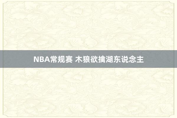 NBA常规赛 木狼欲擒湖东说念主