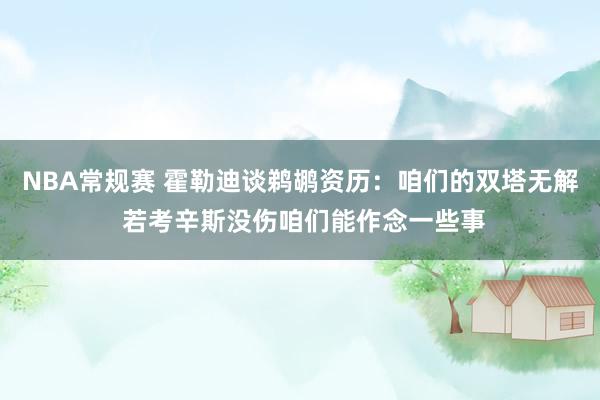 NBA常规赛 霍勒迪谈鹈鹕资历：咱们的双塔无解 若考辛斯没伤咱们能作念一些事