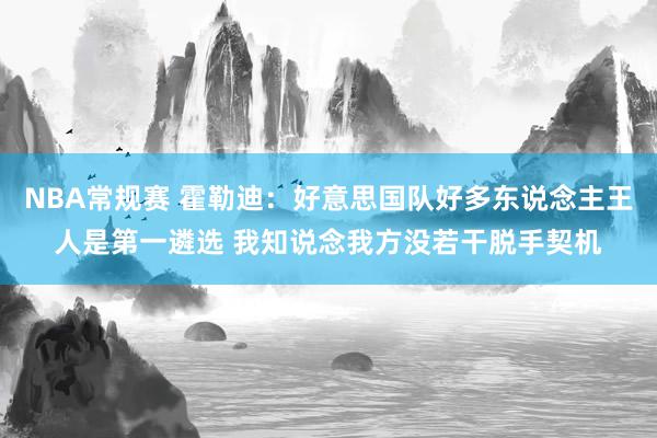 NBA常规赛 霍勒迪：好意思国队好多东说念主王人是第一遴选 我知说念我方没若干脱手契机