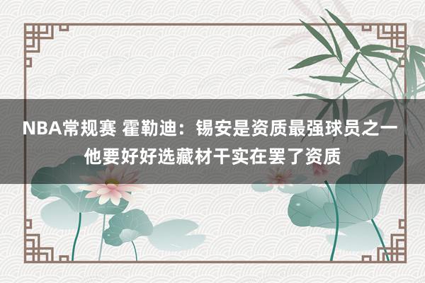 NBA常规赛 霍勒迪：锡安是资质最强球员之一 他要好好选藏材干实在罢了资质