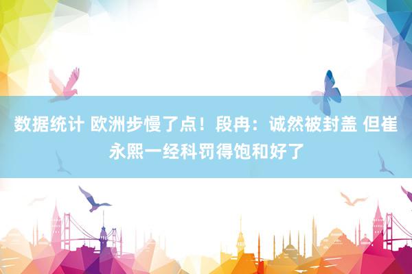 数据统计 欧洲步慢了点！段冉：诚然被封盖 但崔永熙一经科罚得饱和好了