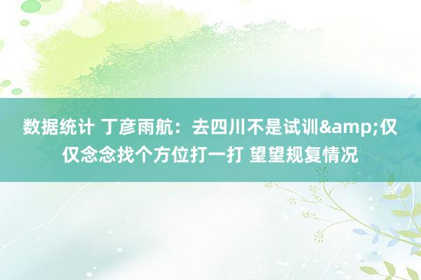 数据统计 丁彦雨航：去四川不是试训&仅仅念念找个方位打一打 望望规复情况