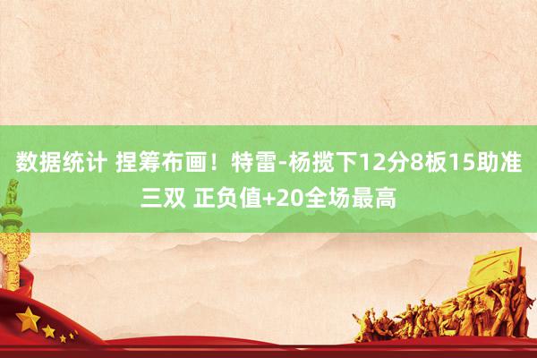 数据统计 捏筹布画！特雷-杨揽下12分8板15助准三双 正负值+20全场最高