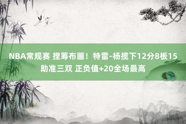 NBA常规赛 捏筹布画！特雷-杨揽下12分8板15助准三双 正负值+20全场最高