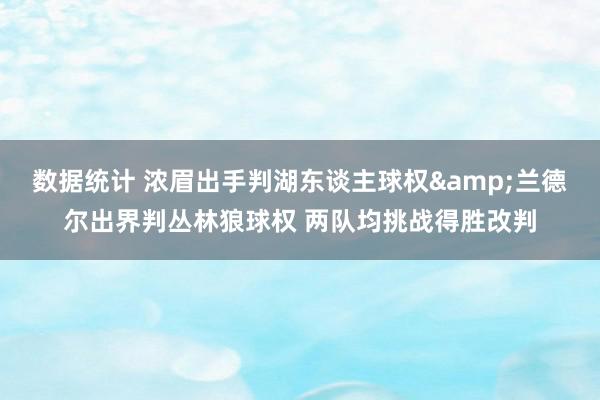 数据统计 浓眉出手判湖东谈主球权&兰德尔出界判丛林狼球权 两队均挑战得胜改判