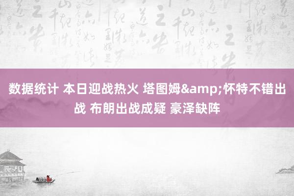 数据统计 本日迎战热火 塔图姆&怀特不错出战 布朗出战成疑 豪泽缺阵