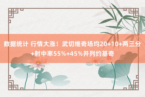 数据统计 行情大涨！武切维奇场均20+10+两三分+射中率55%+45%并列约基奇