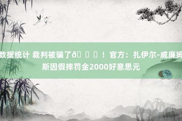 数据统计 裁判被骗了😅！官方：扎伊尔-威廉姆斯因假摔罚金2000好意思元